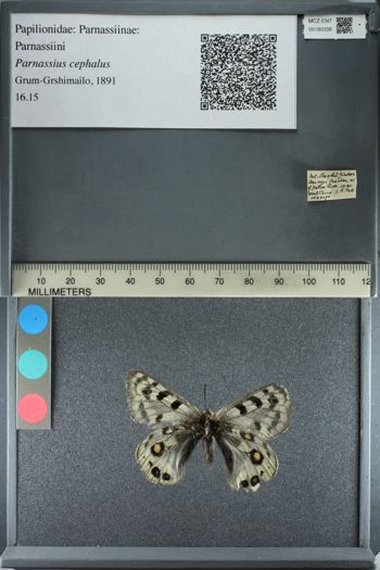 Media type: image;   Entomology 180338